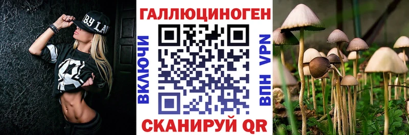 Галлюциногенные грибы мухоморы  купить наркоту  Саров 