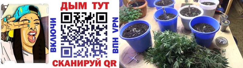 KRAKEN ссылка даркнет сайт Саров Канабис Bruce Banner